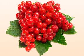 gooseberry for hypertension